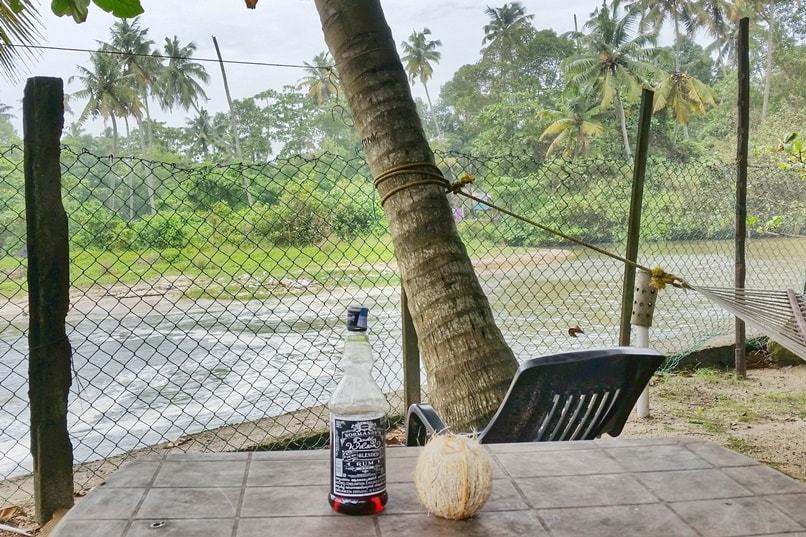 Alcohol in Alleppey: Kerala rum and coconut water at best guesthouse near Alleppey Beach, Funky Art Beach House. Backpacking Kerala, India.