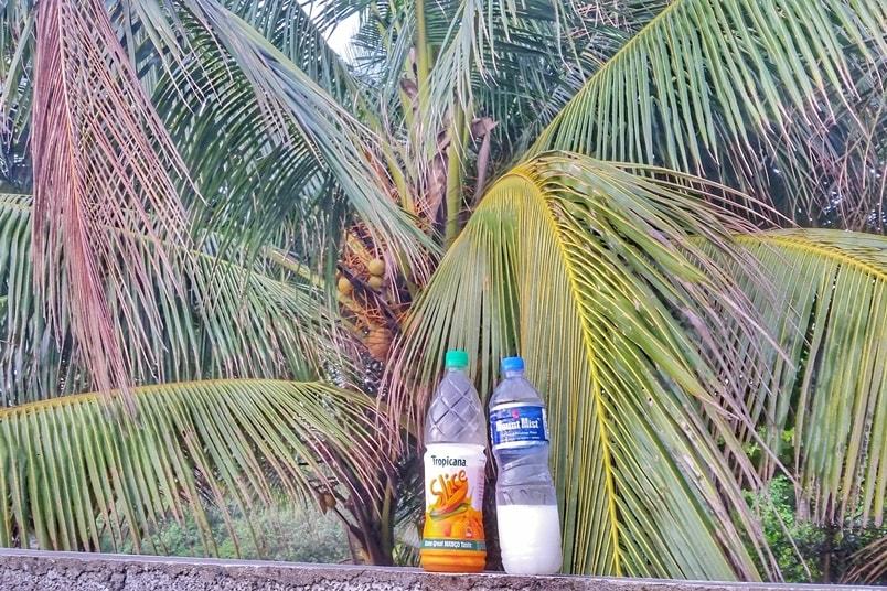 Alcohol in Alleppey: Toddy Kerala palm wine mixed with juice. Backpacking Kerala, India.