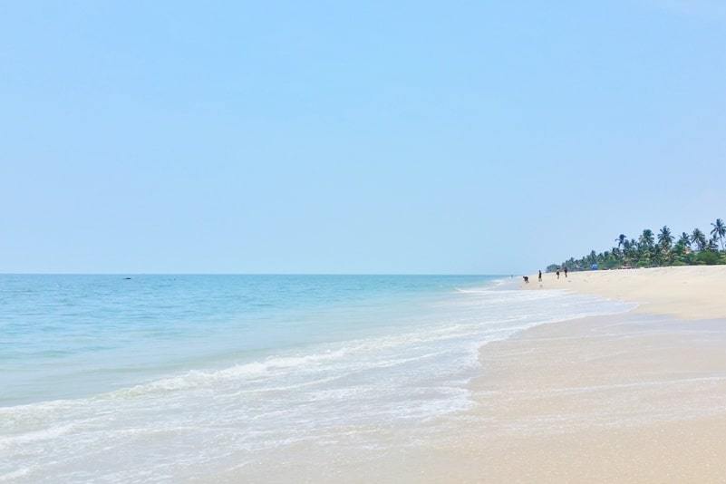 Best hostels in Alleppey Beach: Zostel Alleppey hostel for backpackers. Backpacking Kerala, India