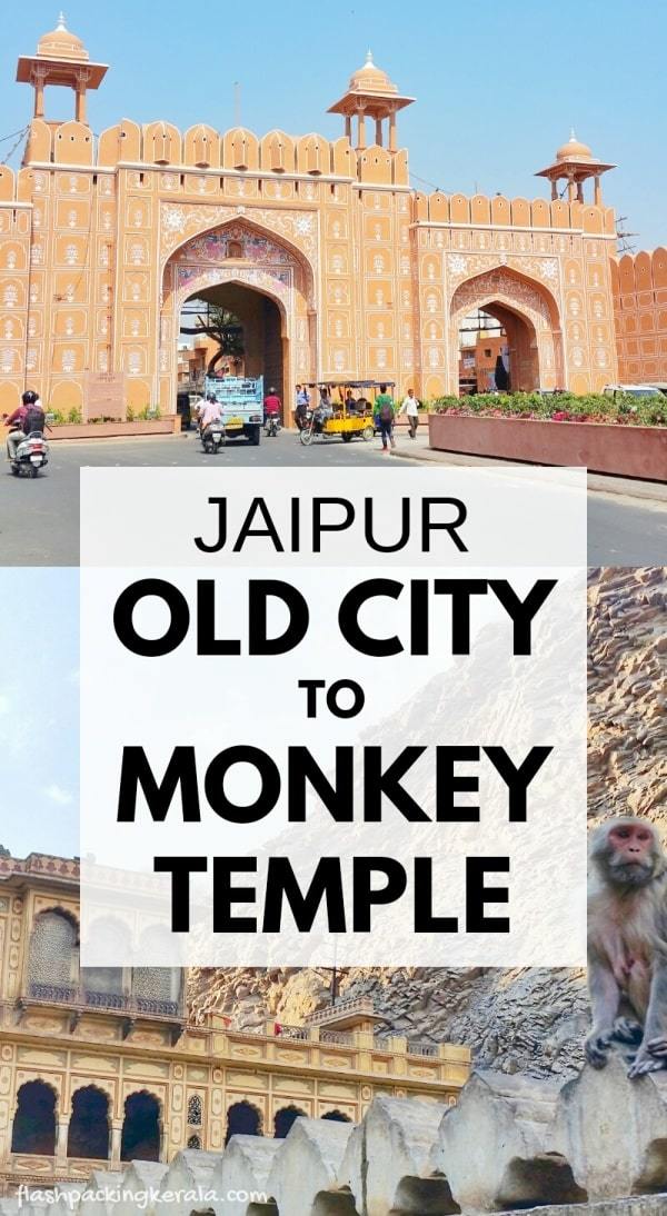 Monkey Temple Jaipur: How to get to monkey temple from Old City to Galta-ji temple. Backpacking Rajasthan, India