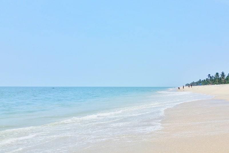 Zostel Kerala hostels near Alleppey Beach. Zostel Alleppey hostel. Backpacking hostels in South India
