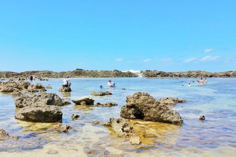 Worst time to visit Hawaii: Best snorkeling spots in Hawaii. Maui, Kauai, Oahu, Big Island.