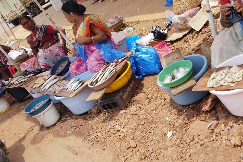 Canacona train station to Palolem Beach. Fish market in Canacona near Palolem Beach. Backpacking Goa India