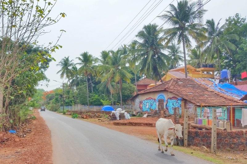 Canacona train station to Palolem Beach. Distance to walk to Palolem Beach from train station, how far, how much time. Backpacking Goa India