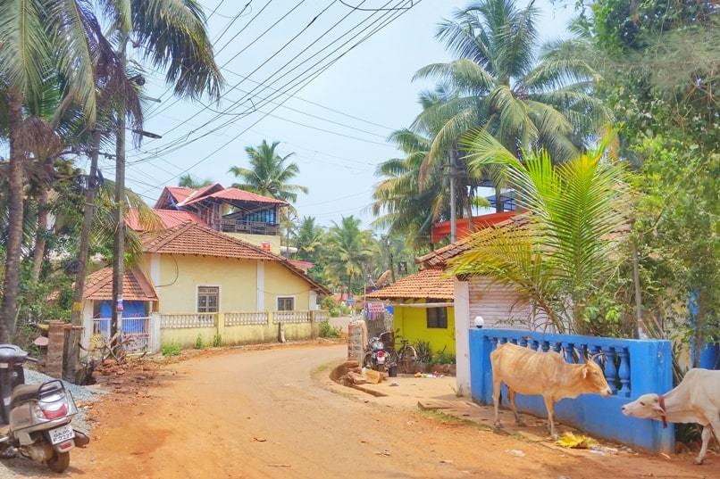 Canacona train station to Palolem Beach. Distance to walk to Palolem Beach from train station, how far, how much time. Backpacking Goa India