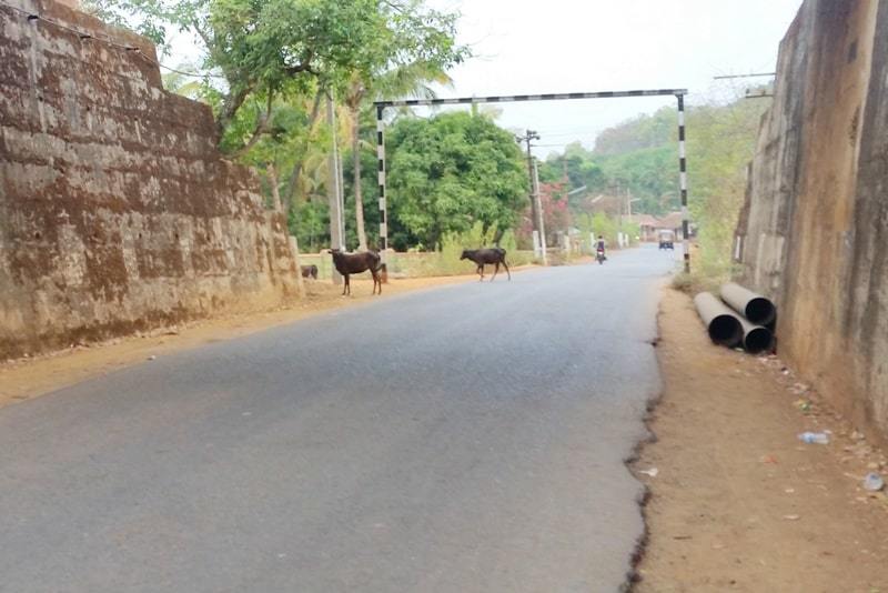 Gokarna train station to bus stand. near bus stop. Backpacking South India