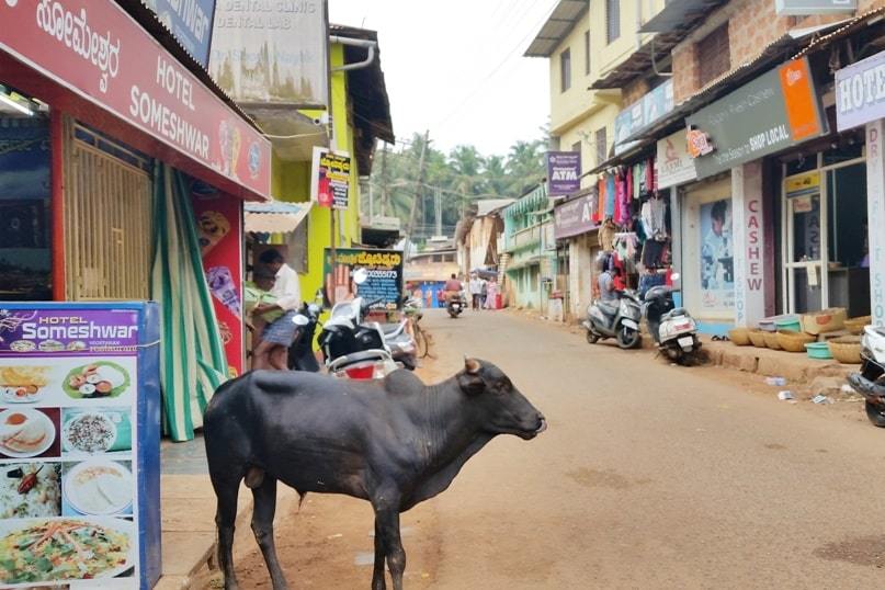 Gokarna train station to bus stand: How to get from Gokarna bus station to Kudle Beach or to Om Beach by walk. Backpacking South India