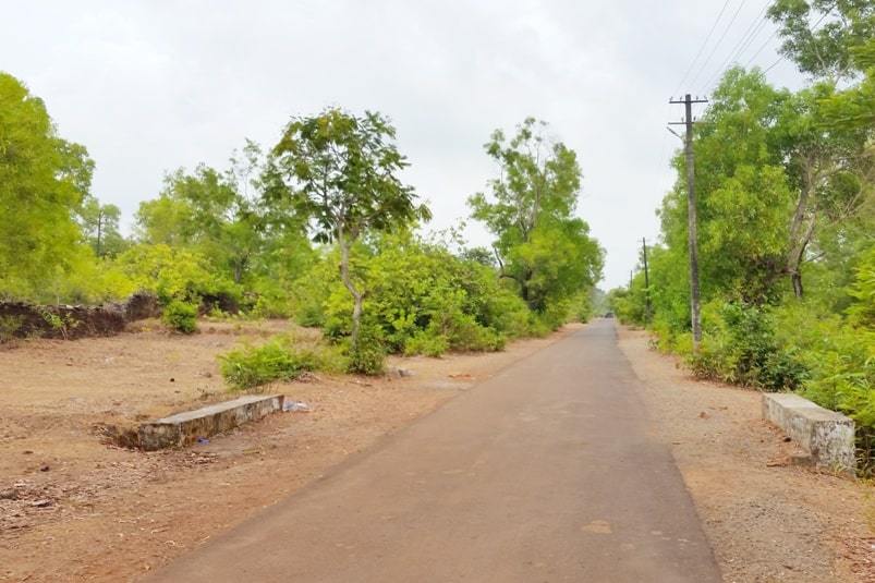 Gokarna train station to bus stand. walk from gokarna road railway station to get to bus to gokarna beach and to town. Backpacking South India